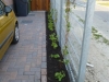 beplanting-bij-stalen-hek