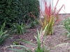 beplanting-detail_resized