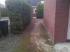 20130416_081608.jpg