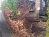 20130416_084642.jpg