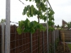 20130611_102335.jpg